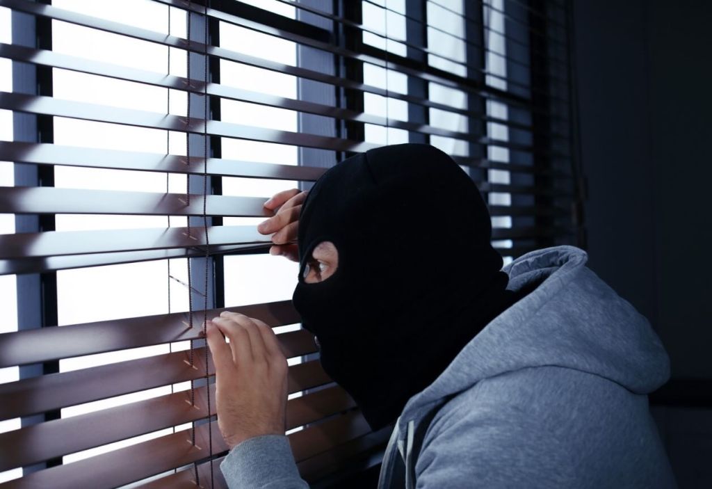 Understanding Theft Offences: What You Need to Know